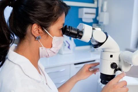 A dentist is looking in a special microscope for dentist in a laboratory Stock Photos