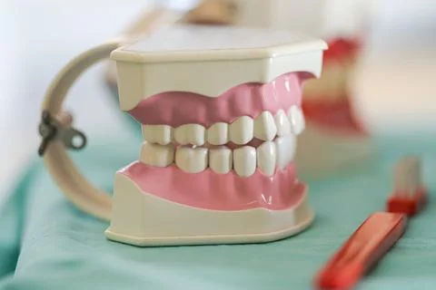 Dentist Office, Dentist tools, Teeth model Stock Photos