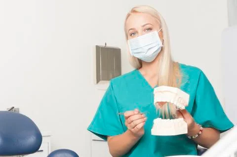 Dentist Stock Photos