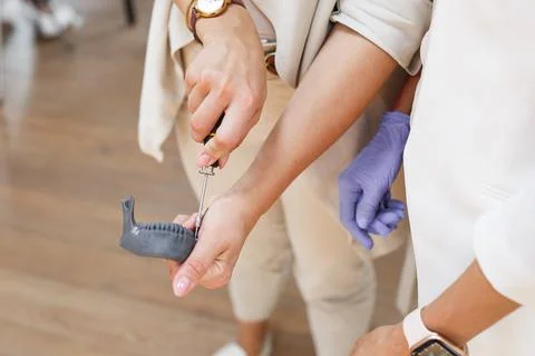 Dentist practice with mini screw model on dental model. Orthodontic dentistry Stock Photos