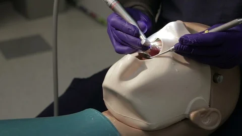 Dentist Practicing By Drilling on a Mannequin Stock Footage 106165993