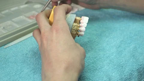 Dentist prepare model of the human jaw Видео 80080095