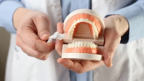 Dentist showing jaw model, giving lesson on proper teeth and oral cavity care Stock Footage 126523751