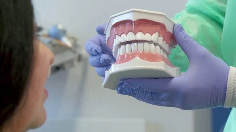 Dentist shows the client layout of human teeth Stock Footage 73576383