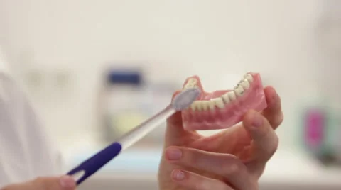 Dentist shows how to brush teeth Stock Footage 41383751