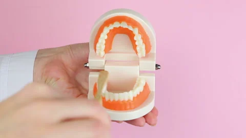 Dentist shows how to properly brush teeth on the orthodontic model of teeth on Stock Footage 153967403