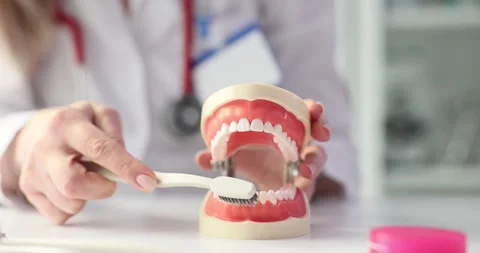 Dentist shows how to properly brush your teeth with toothbrush Stock Footage 276411937