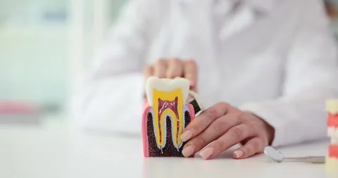 Dentist shows model of tooth and brushes teeth correctly with toothbrush Stock Footage 250764395