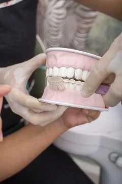 Dentist teaching proper brushing technique on dental model 스톡 사진