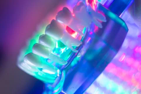 Dentist teeth model Stock Photos