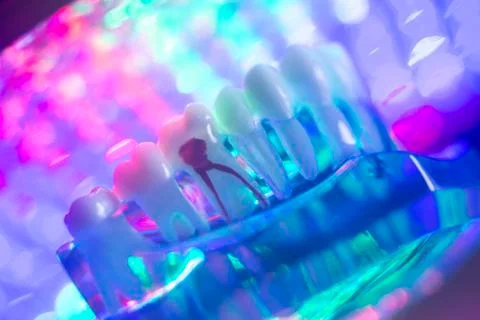 Dentist teeth model Stock Photos