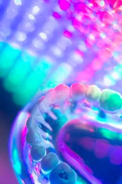 Dentist teeth model Stock Photos