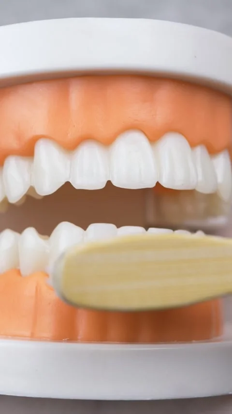 Dentist in white gloves teaching how to brush teeth by white toothbrush Stock Footage 284672260