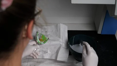 Dentist working on imprint Vidéo 123066310
