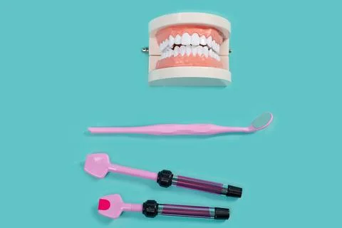 Dentistry concept. Model of human teeth and tools using in dentistry practice Stock-Fotos
