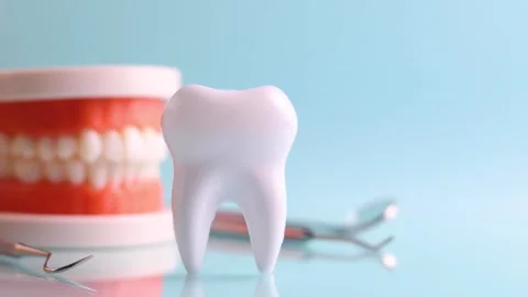 Dentistry concept. Model of a tooth and dental instruments on a colored Stock Footage 248471241