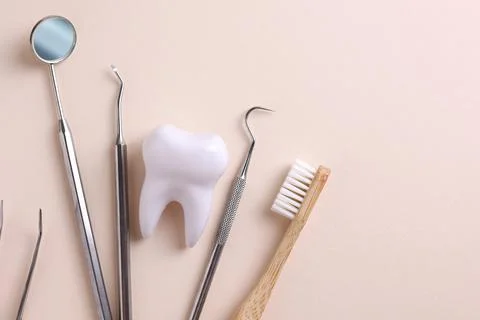 Dentistry concept. Model of a tooth and dental instruments on a colored Foto stock