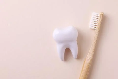 Dentistry concept. Model of a tooth and dental instruments on a colored Foto stock