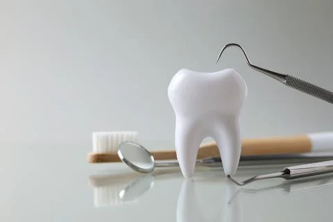 Dentistry concept. Model of a tooth and dental instruments on a light background Stock Photos
