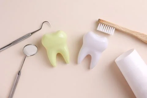 Dentistry concept. Model of a tooth and dental instruments on a colored Foto stock