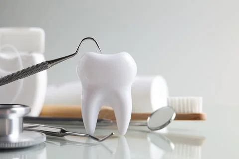 Dentistry concept. Model of a tooth and dental instruments on a light background Stock Photos