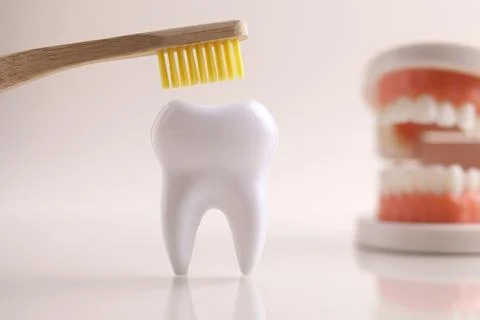 Dentistry concept. Model of a tooth and dental instruments on a colored Stock Photos