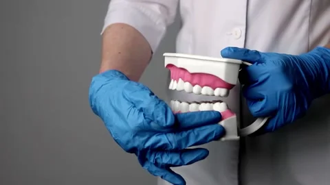 Dentists hand showing third molars, wisdom teeth on fake jaw with tooth Stock Footage 226775112