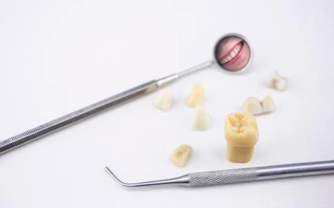 Dentist's tools, tooth model teeth and girl's smile in a mirror Stock Photos