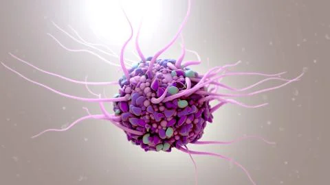 Dentritic cell Stock Photos