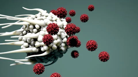 Dentritic cell responding to viruses Stock Footage 178554823