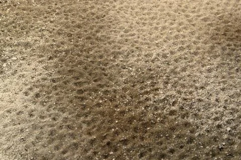 Dents in multitoned brown sand surface full frame abstract sand surface wi... Stock Photos