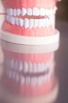 Dentsts dental teeth model Stock Photos