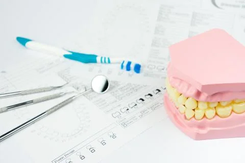 Denture for dental concept on white background Stock Photos