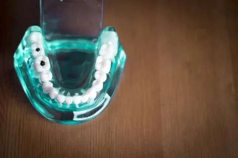 Denture for dentistry students Foto stock
