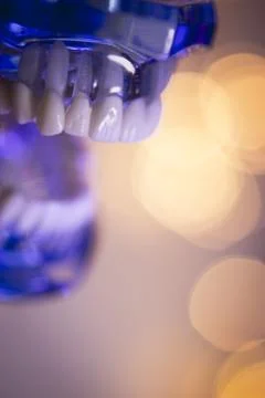 Denture for dentistry students Stock Photos
