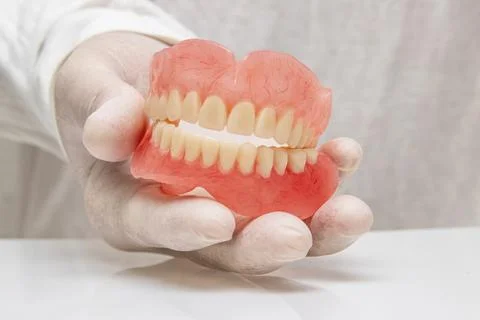 Denture, false jaw. Stock Photos