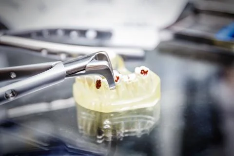 The denture sample Stock Photos