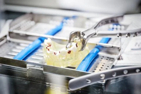 The denture sample Stock Photos