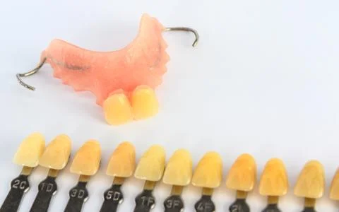 Denture shade guide with bunny denture Stock Photos