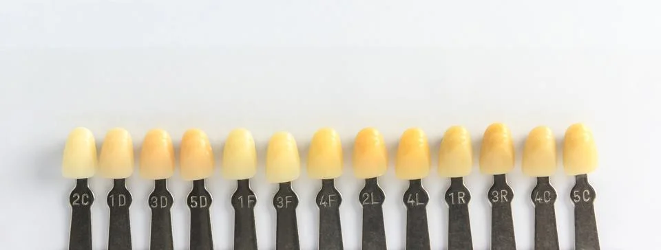 Denture shade guide 스톡 사진
