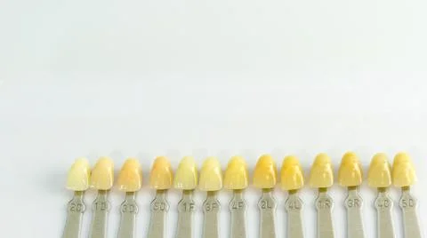 Denture shade guide Stock Photos