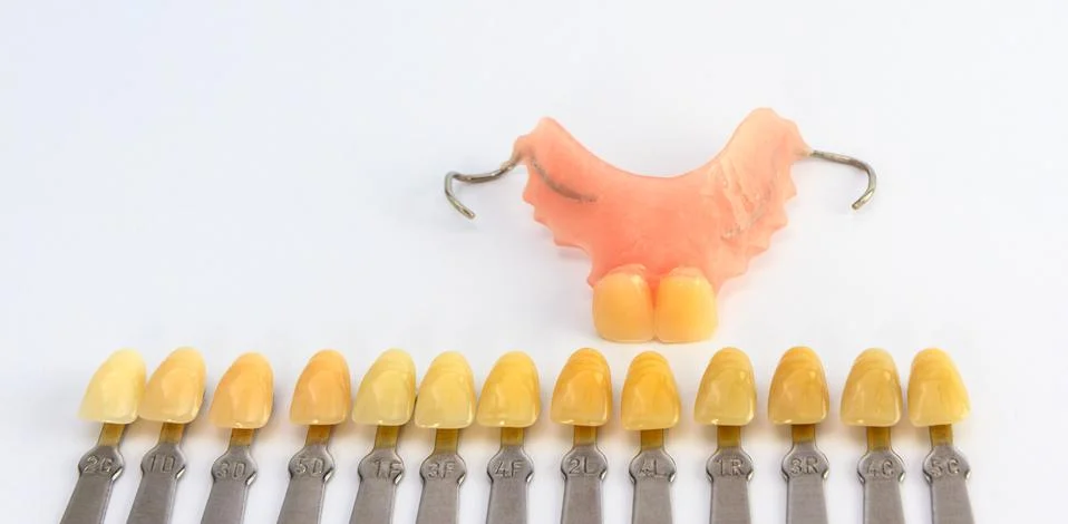 Denture shade guide Foto stock