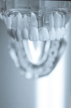 Denture for students transparent Stock Photos