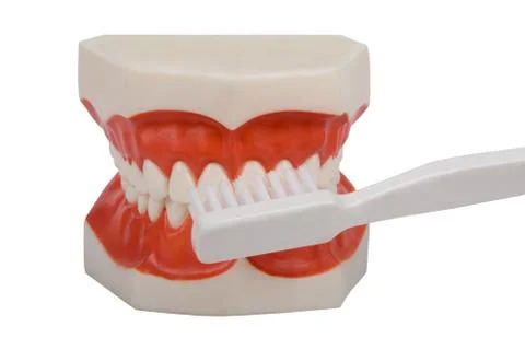 Dentures, brush your teeth Stock Photos