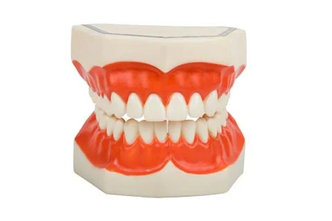Dentures, dental prosthesis Foto stock