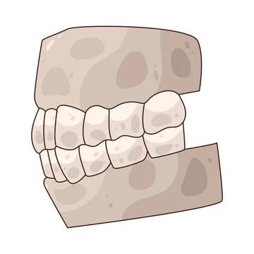 Dentures illustration Stock Illustration