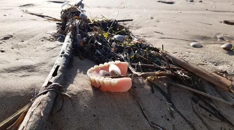 Dentures lost on the beach 库存照片