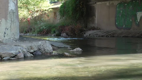 Denver City river Stock Footage 318337118