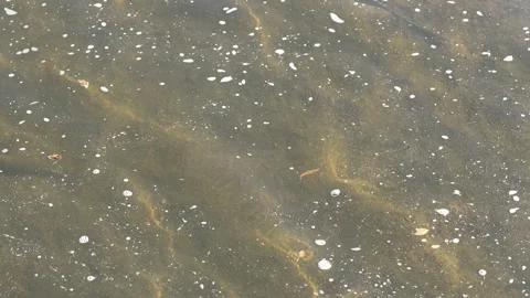 Denver City river Stock Footage 318337865