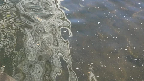 Denver City river Stock Footage 318337881
